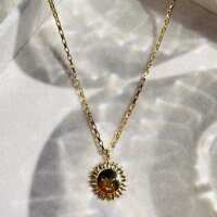 Lesen Palm And Sky Bewertungen